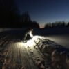 HARNESS LIGHT - Image 8